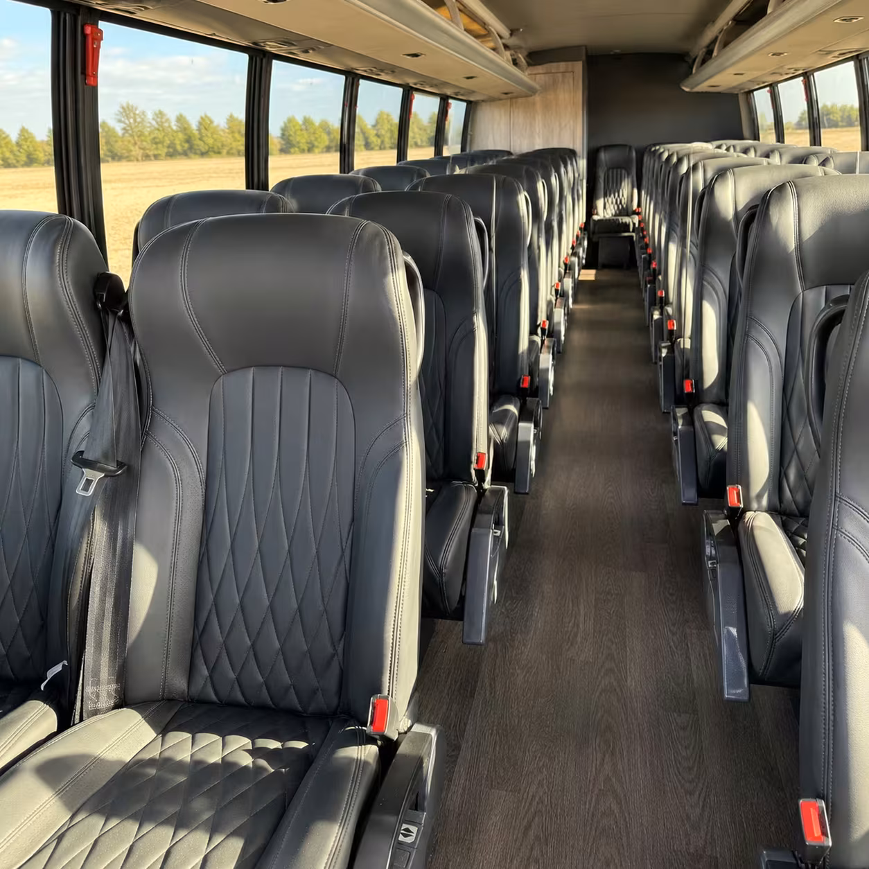 lakeland prom minibus rentals for dinner before the dance
